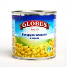 Кукуруза консервированная GLOBUS деликатесная 425мл ж/б 8010415 - фото 41199