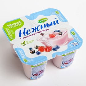 Продукт CAMPINA йогуртный Нежный с соком лесных ягод 1,2% 100г 8017704