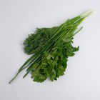 Набор зелени 100г 8018888