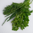 Набор зелени 100г 8018888