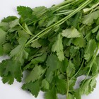 Кинза 50г 8018897