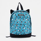Рюкзачок детский Erich Krause EasyLine Mini, 25 х 20.5 х 11, Racoons, голубой Рюкзачок детский Erich Krause EasyLine Mini, 25 х 20.5 х 11, Racoons, голубой