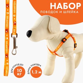 Комплект «Любимчик», шлейка 24-34 см, поводок 120х1 см