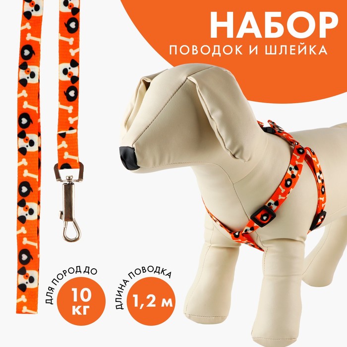 Комплект "Собака" капрон 1,5 см 1-слойный, шлейка 36-49см, поводок 120см