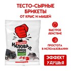Тесто-сырные брикеты от крыс и мышей "Наповал", 200 г Тесто-сырные брикеты от крыс и мышей "Наповал", 200 г
