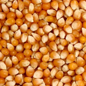 Зерно кукурузы д/попкорна желтое вес  кг