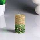 Свеча из вощины "Здоровье", 5×8 см, 60 гр Свеча из вощины "Здоровье", 5×8 см, 60 гр