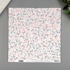 Бумага для скрапбукинга Pebbles "BABY BLOSSOMS" 30.5х30.5 см, 190 гр/м2 Бумага для скрапбукинга Pebbles "BABY BLOSSOMS" 30.5х30.5 см, 190 гр/м2