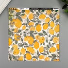 Бумага для скрапбукинга Vicki Boutin "Lemon Spritz" 30.5х30.5 см, 190 гр/м2 Бумага для скрапбукинга Vicki Boutin "Lemon Spritz" 30.5х30.5 см, 190 гр/м2