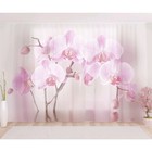 Фототюль «Арка из орхидей», размер 290 х 260 см, вуаль - фото 127170280