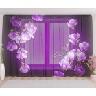 Фототюль «Цветы магнолии на пурпурном фоне», размер 290 х 260 см, вуаль - фото 127170289