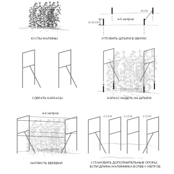 Как правильно сделать ограждение для малины фото и схемы