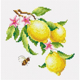Набор для вышивки на канве счетным крестом «Ветка лимона»