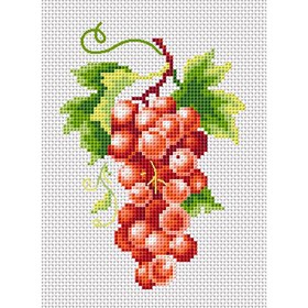Набор для вышивки на канве счетным крестом «Гроздь винограда»