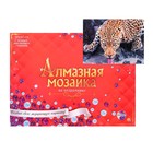 Алмазная мозаика 30 × 40 см, полное заполнение, с подрамником «Леопард на водопое» - фото 864513