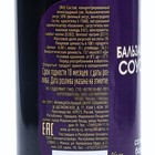 Бальзамический соус-крем со вкусом базилика, 220 мл - фото 801244495