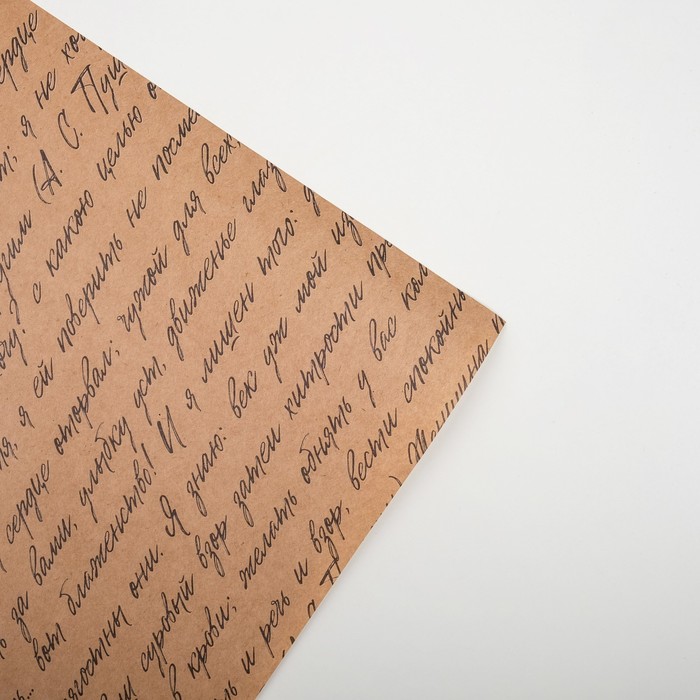 Бумага упаковочная крафтовая "Литература"  50х70 см (10 шт) - фото 800073452 Бумага упаковочная крафтовая "Литература"  50х70 см (10 шт) - фото 800073452