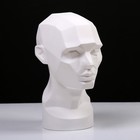 Гипсовая фигура Обрубовка головы по Асаро 17*23*33.5 10-172 Гипсовая фигура Обрубовка головы по Асаро 17*23*33.5 10-172