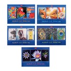 Альбом для рисования А4, 40 листов на скрепке "Я рисую мой мир", обложка мелованный картон, блок 100 г/м2, МИКС - фото 3588209
