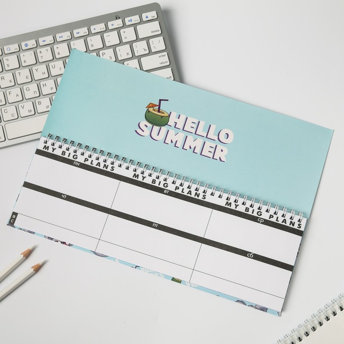 Планинг прямоугольный тонкий картон Koala summer plans - фото 798566203