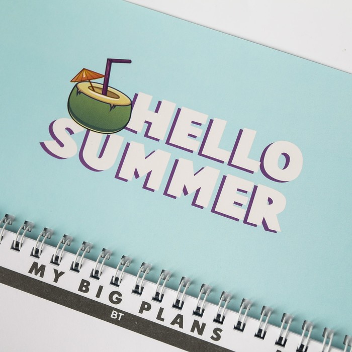 Планинг прямоугольный тонкий картон Koala summer plans - фото 798566204