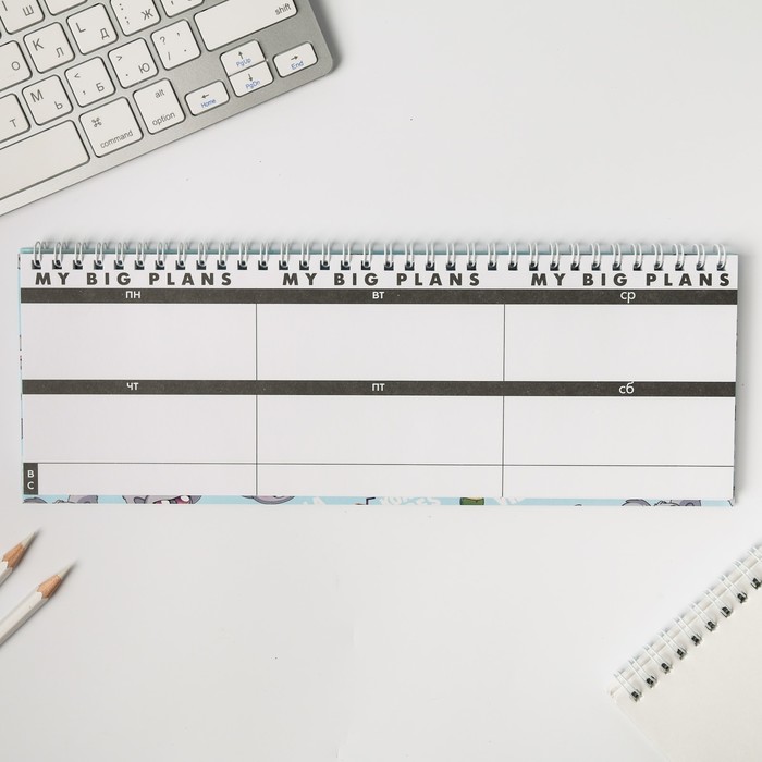 Планинг прямоугольный тонкий картон Koala summer plans - фото 798566205