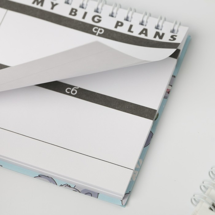 Планинг прямоугольный тонкий картон Koala summer plans - фото 798566206