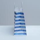 Пакет подарочный крафтовый «Якорь», 32 × 28 × 15 см 4753243