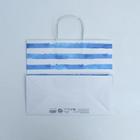 Пакет подарочный крафтовый «Якорь», 32 × 28 × 15 см 4753243