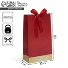 Пакет подарочный с лентой «Present», 13 × 23 × 7 см 4753273