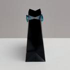 Пакет ламинированный горизонтальный «Present for you», 22 × 17.5 × 8 см 4766883