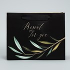Пакет ламинированный горизонтальный «Present just for you», 22 × 17.5 × 8 см 4766885