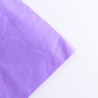 Бумага эколюкс «Лаванда», 0,7 х 5 м 4982415