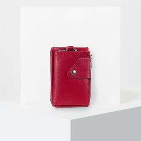 описание_картинки