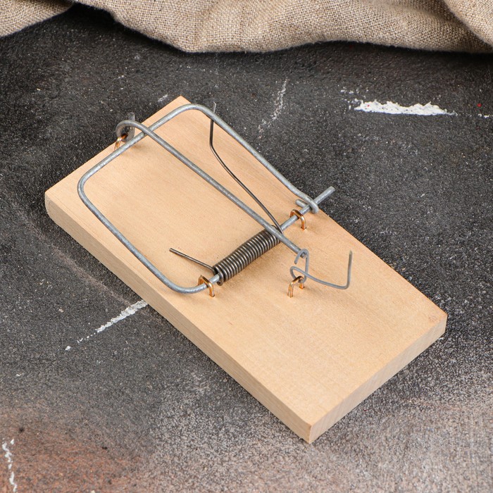 Мышеловка дерев. Крысоловка металлическая усиленная 2 шт sparta. Как установить мышеловку. Крысоловка чистый дом /144шт. Мышеловка деревянная 5х10см rat&mouse 1521.