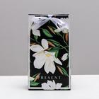 Пакет подарочный с лентой «Present», 13 × 23 × 7 см 4753269