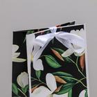 Пакет подарочный с лентой «Present», 13 × 23 × 7 см 4753269