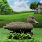 Figure decoy "crested Duck" duck
