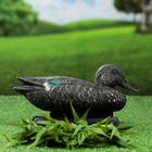 Figure decoy "Teal-gadwall duck" 