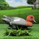 Figure decoy "Wigeon" duck