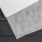 Материал укрывной, 1,6 × 10 м, плотность 100, УФ-стабилизатором, белый Материал укрывной, 1,6 × 10 м, плотность 100, УФ-стабилизатором, белый