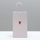 Пакет подарочный крафтовый «Просто Лю», 12 × 21 × 9 см 4753218