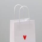 Пакет подарочный крафтовый «Просто Лю», 12 × 21 × 9 см 4753218