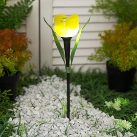 Фонарь садовый на солнечной батарее Uniel "Желтый тюльпан", белый свет, IP44, 305 мм