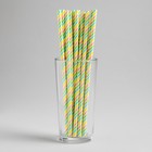 Tubules for a cocktail "Color spiral" set of 12 PCs