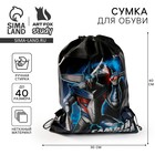 Сумка для обуви "Самый крутой" 41*30*0,5см Сумка для обуви "Самый крутой" 41*30*0,5см