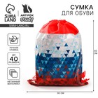 Сумка для обуви «Флаг», 41х30х0,5 см 4757189 - фото 5962509