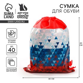 Сумка для обуви «Флаг», 41х30х0,5 см 4757189