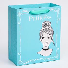 Пакет ламинат вертикальный "Princess", Принцессы, 23х27х11,5 см