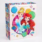 Пакет ламинат вертикальный "Принцессы", Принцессы, 40х49х19 см 4628820